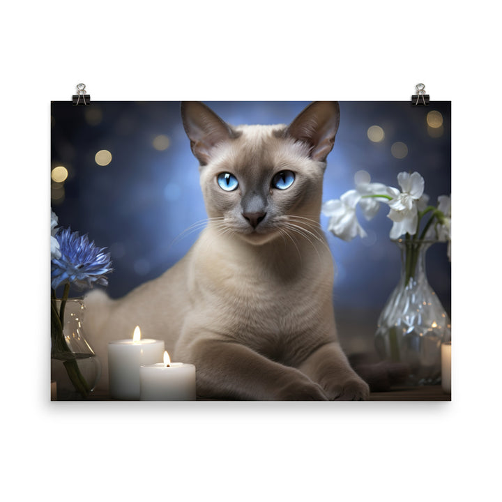 Tonkinese Photo paper poster - PosterfyAI.com