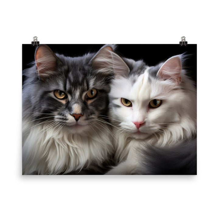 Norwegian Forest Photo paper poster - PosterfyAI.com