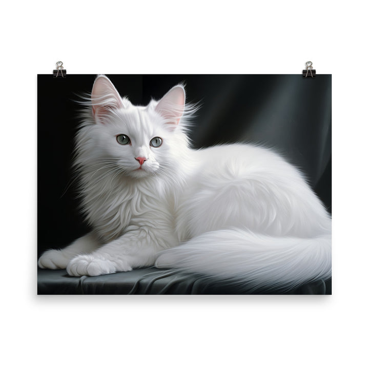 Turkish Angora Photo paper poster - PosterfyAI.com