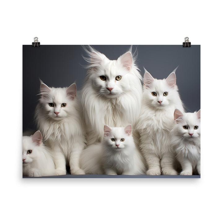 Turkish Angora Photo paper poster - PosterfyAI.com