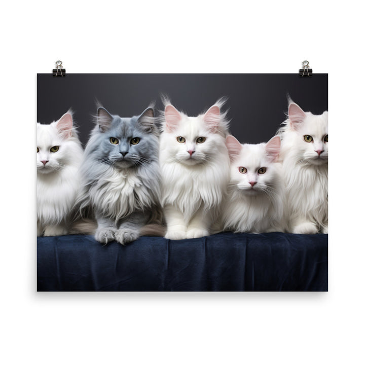 Turkish Angora Photo paper poster - PosterfyAI.com