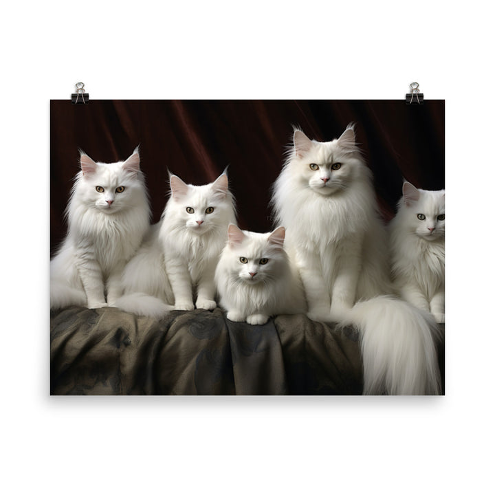 Turkish Angora Photo paper poster - PosterfyAI.com