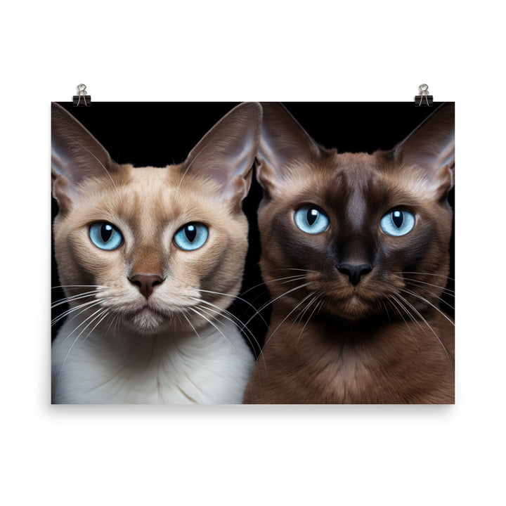 Burmese Photo paper poster - PosterfyAI.com