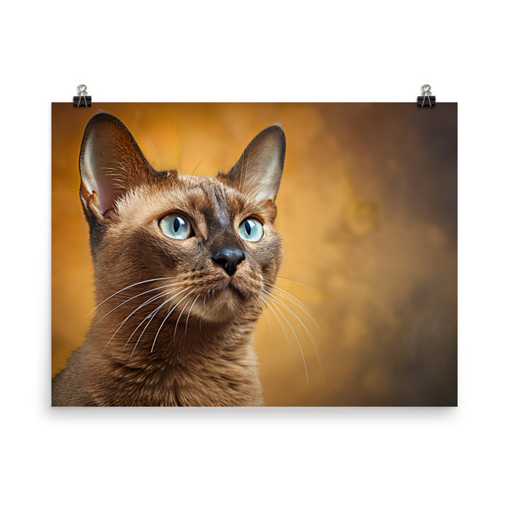 Burmese Photo paper poster - PosterfyAI.com