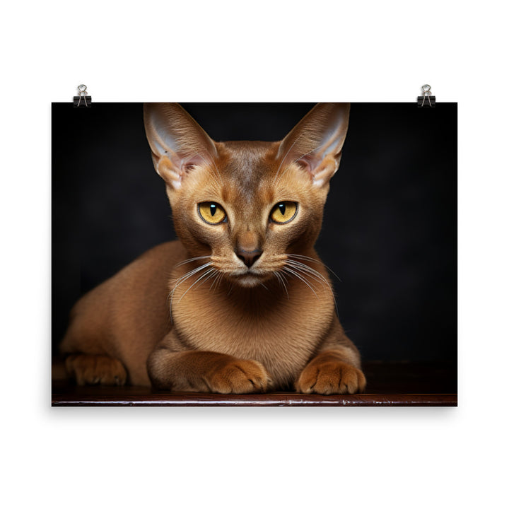 Burmese Photo paper poster - PosterfyAI.com