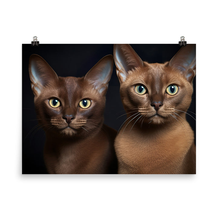 Burmese Photo paper poster - PosterfyAI.com