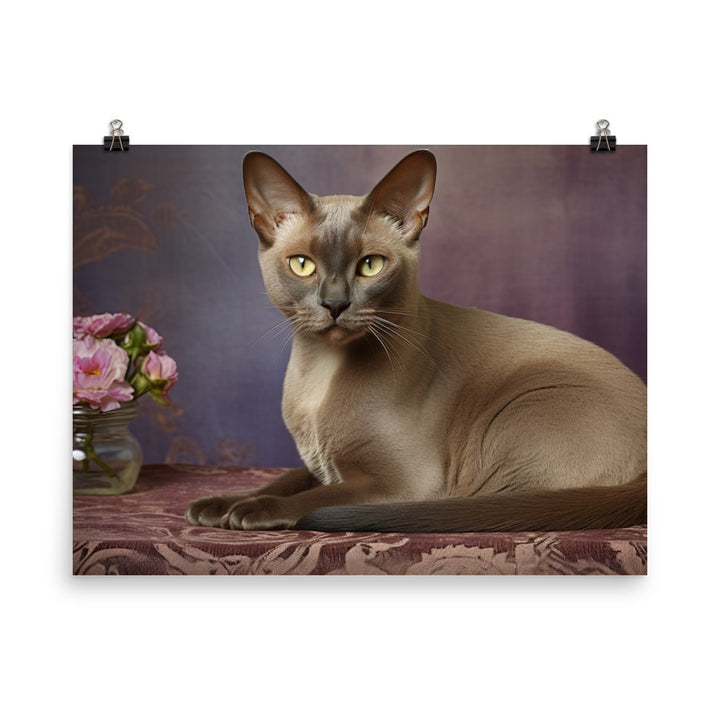 Burmese Photo paper poster - PosterfyAI.com