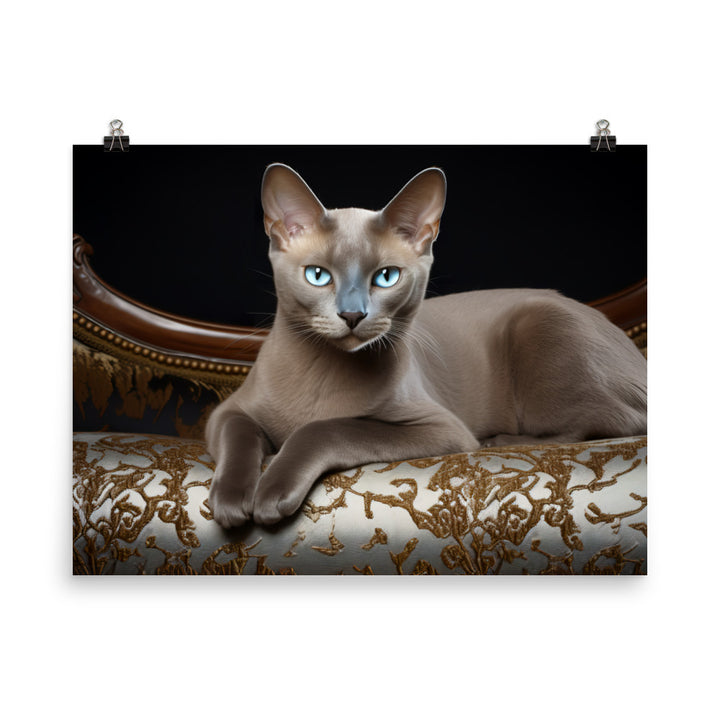 Burmese Photo paper poster - PosterfyAI.com