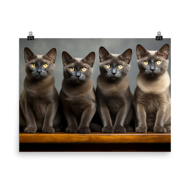 Burmese Photo paper poster - PosterfyAI.com