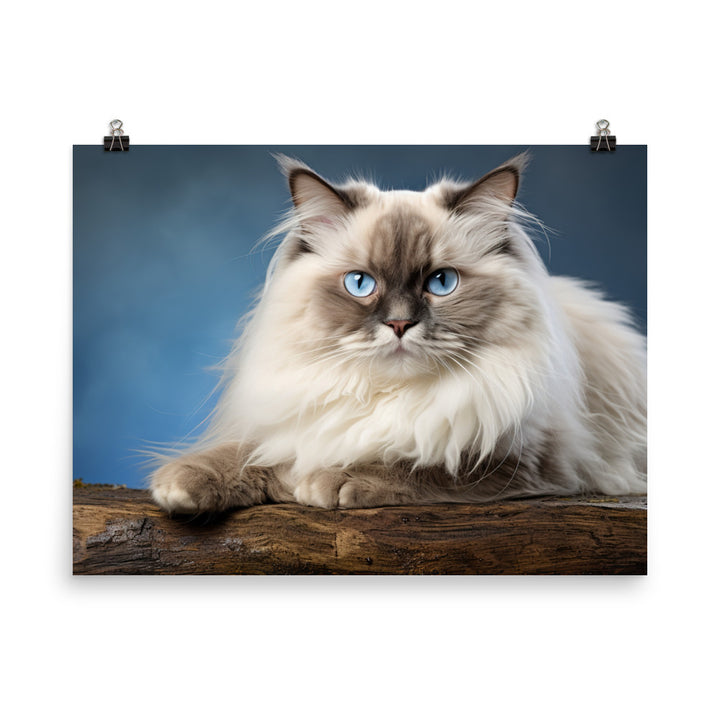 Himalayan Photo paper poster - PosterfyAI.com
