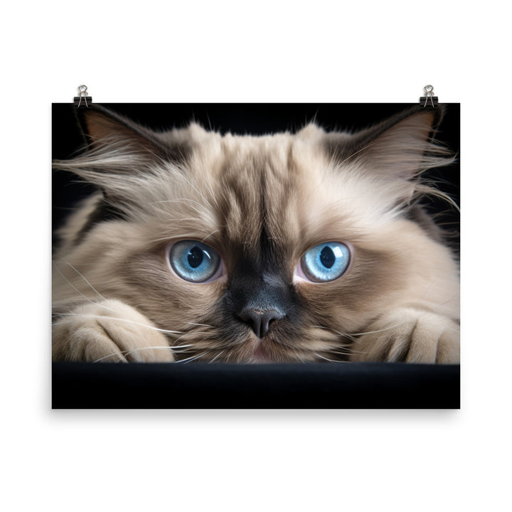 Himalayan Photo paper poster - PosterfyAI.com
