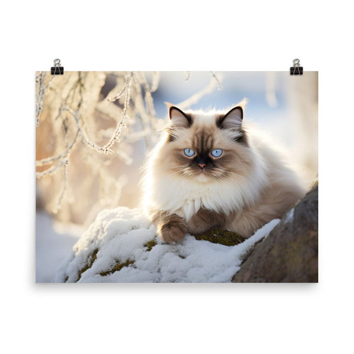Himalayan Photo paper poster - PosterfyAI.com