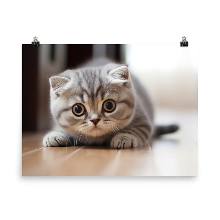 Scottish Fold Photo paper poster - PosterfyAI.com