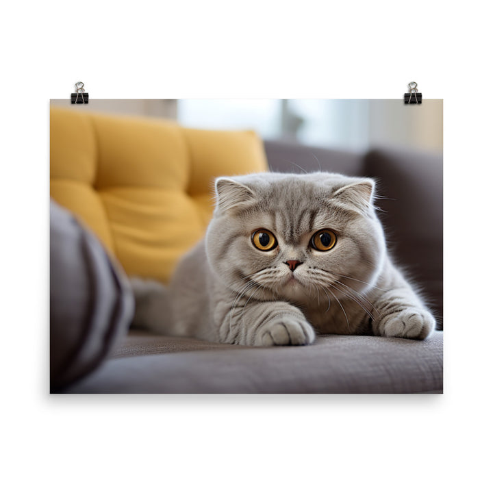 Scottish Fold Photo paper poster - PosterfyAI.com