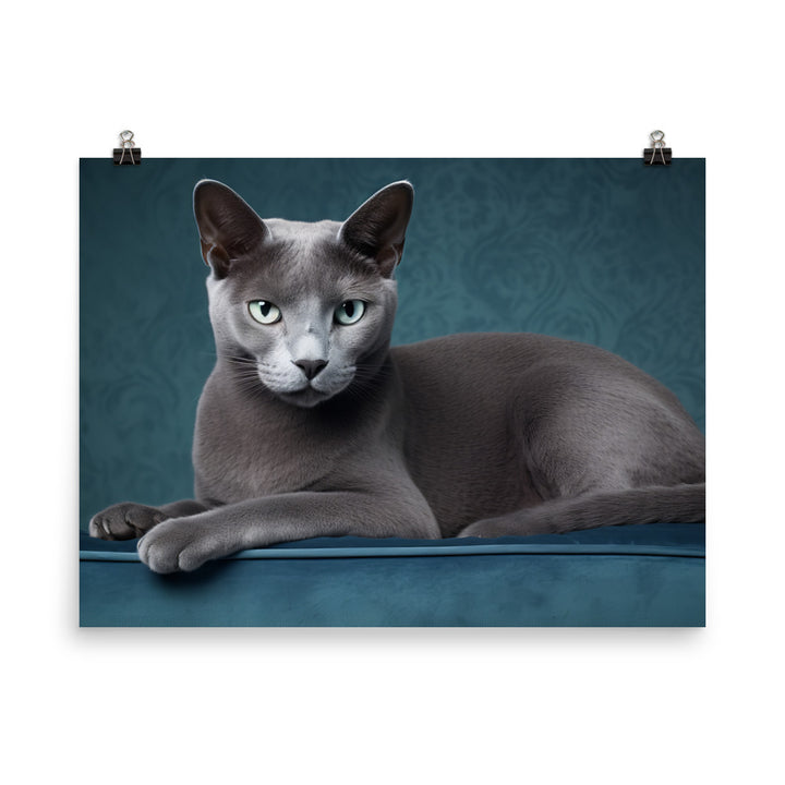 Russian Blue Photo paper poster - PosterfyAI.com
