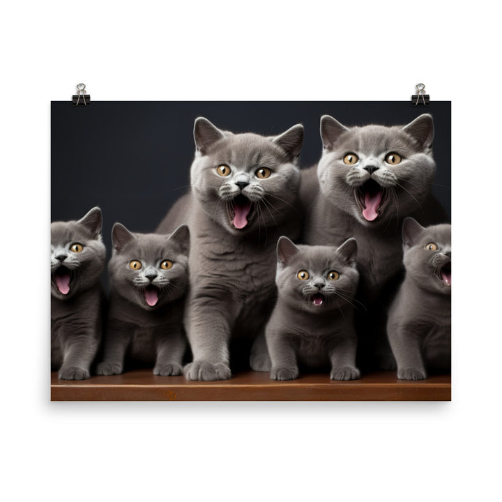 British Shorthair Photo paper poster - PosterfyAI.com