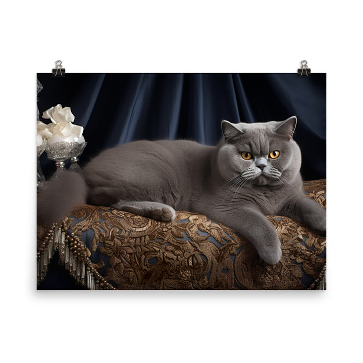 British Shorthair Photo paper poster - PosterfyAI.com