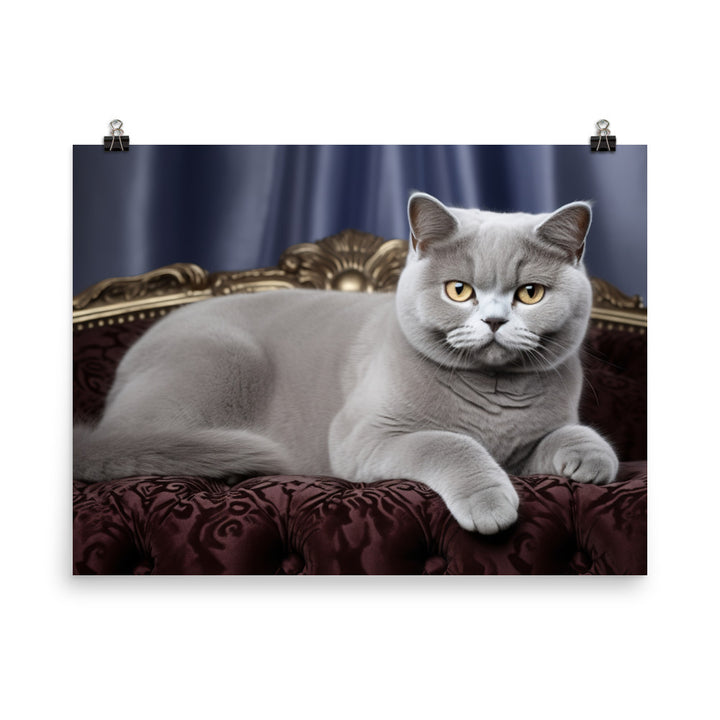 British Shorthair Photo paper poster - PosterfyAI.com