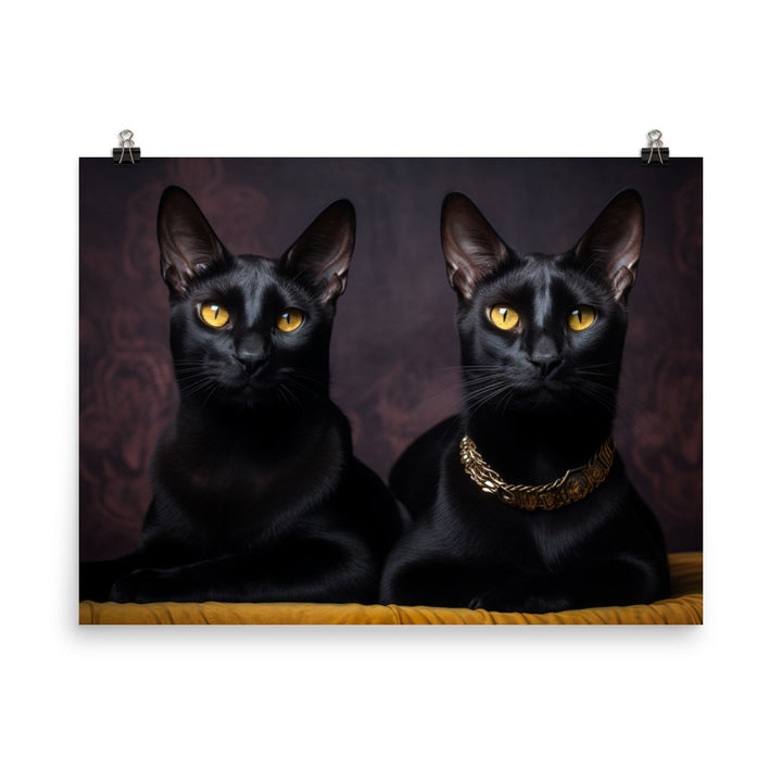 Bombay Photo paper poster - PosterfyAI.com