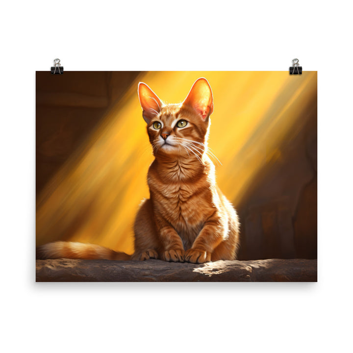 Abyssinian Photo paper poster - PosterfyAI.com