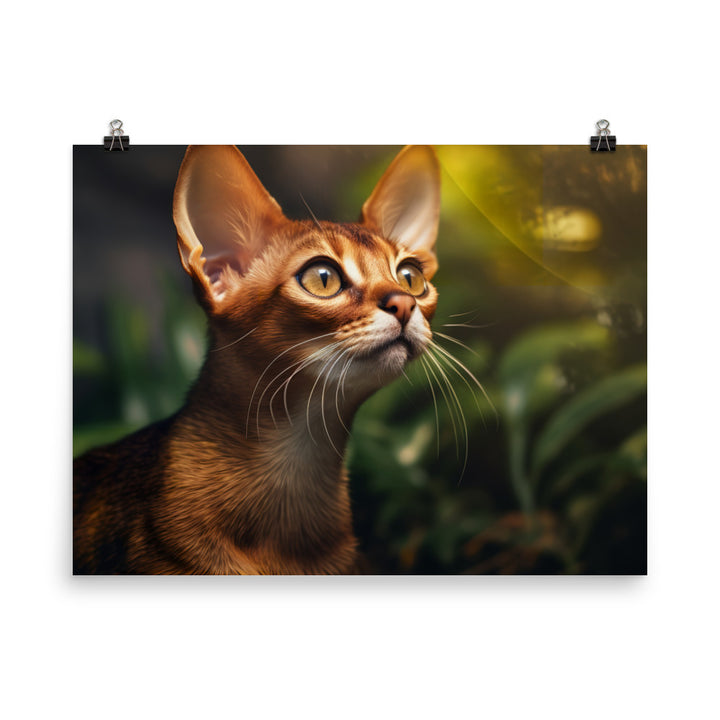 Abyssinian Photo paper poster - PosterfyAI.com