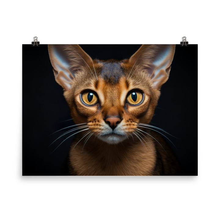 Abyssinian Photo paper poster - PosterfyAI.com