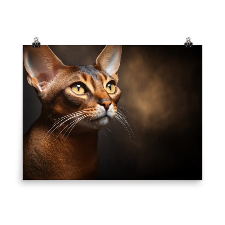 Abyssinian Photo paper poster - PosterfyAI.com