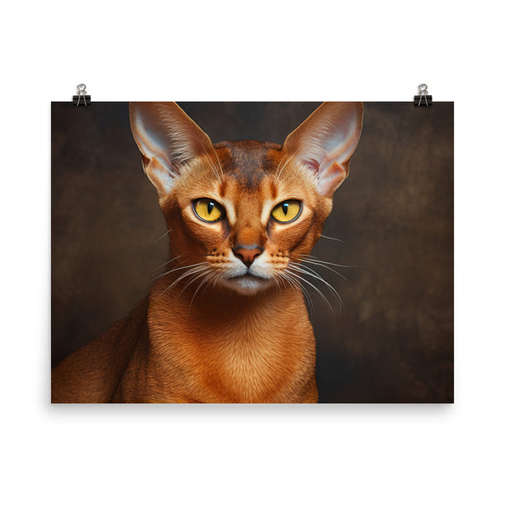 Abyssinian Photo paper poster - PosterfyAI.com