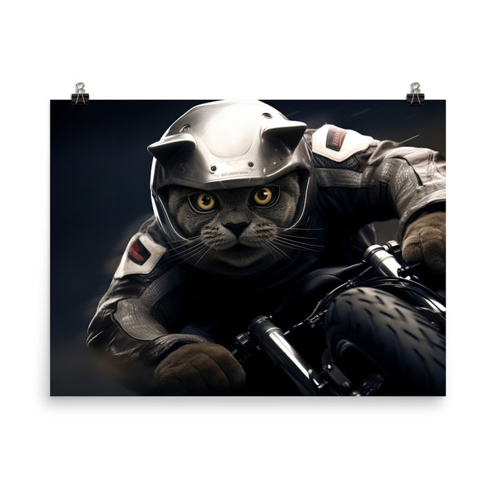 British Shorthair Superbike Athlete Photo paper poster - PosterfyAI.com