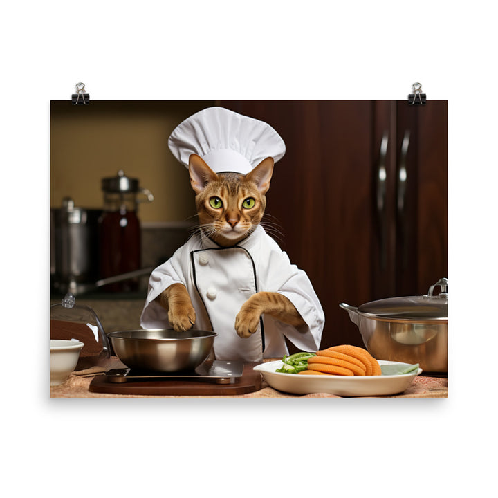 Abyssinian Chef Photo paper poster - PosterfyAI.com