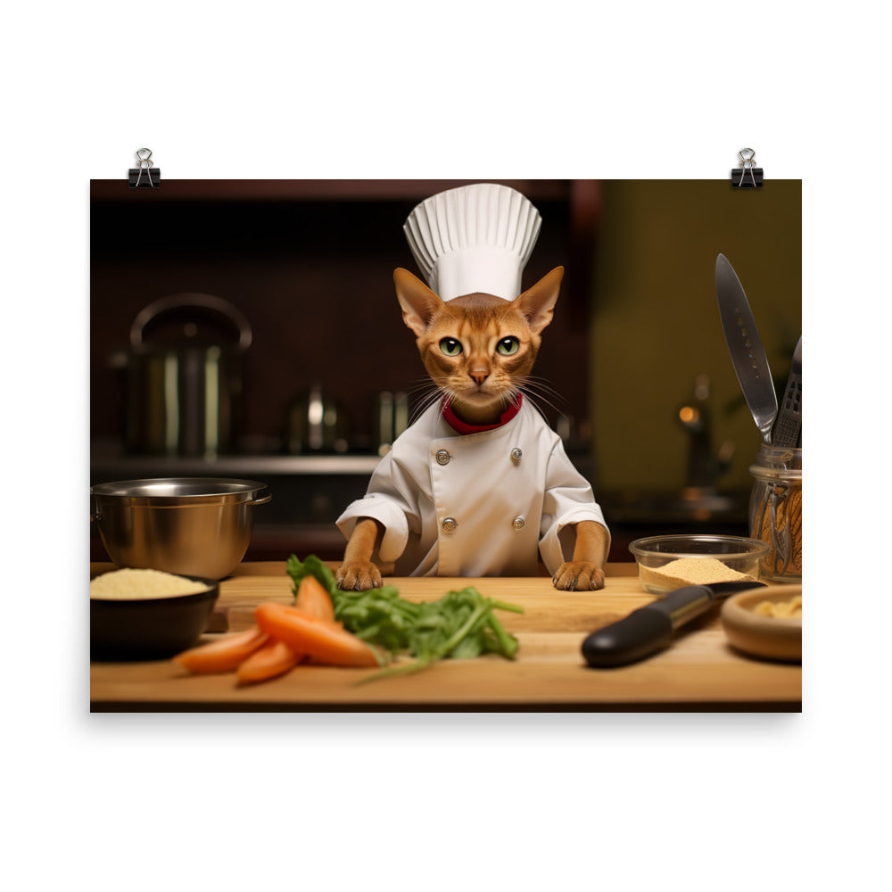 Abyssinian Chef Photo paper poster - PosterfyAI.com