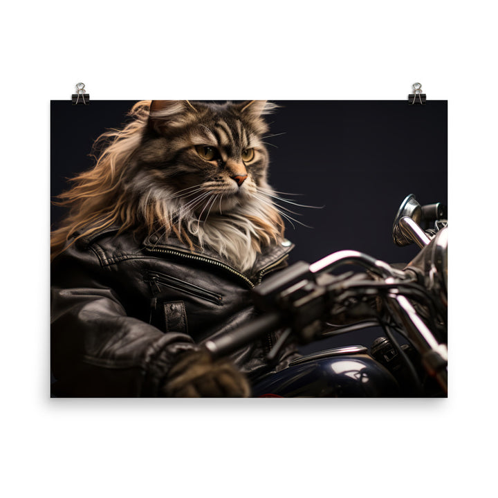 Maine Coon Superbike Athlete Photo paper poster - PosterfyAI.com