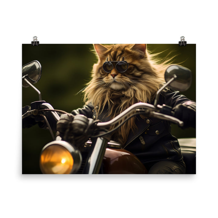 Maine Coon Superbike Athlete Photo paper poster - PosterfyAI.com