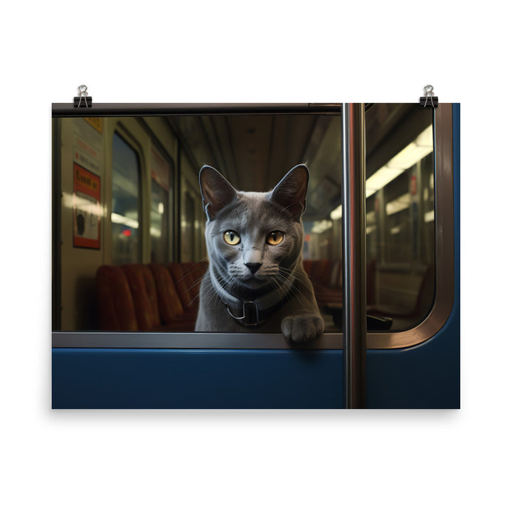 Russian Blue Transit Operator Photo paper poster - PosterfyAI.com