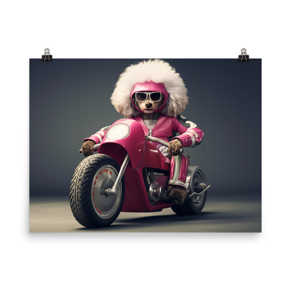 Poodle Superbike Athlete Photo paper poster - PosterfyAI.com