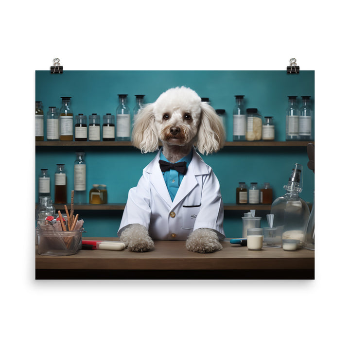 Poodle Pharmacist Photo paper poster - PosterfyAI.com