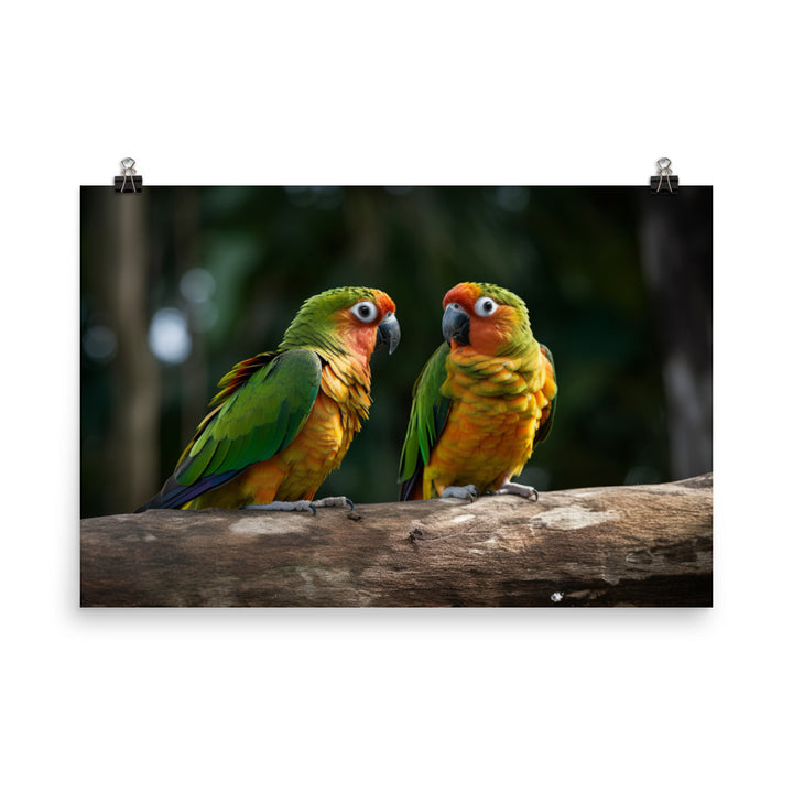 Two Conures perched side by side photo paper poster - Posterfy.AI