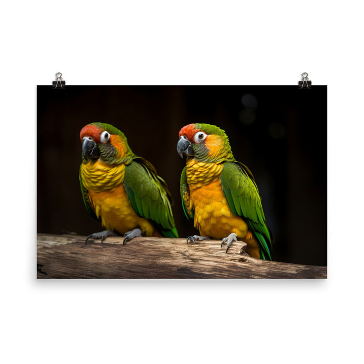 Two Conures perched side by side photo paper poster - Posterfy.AI