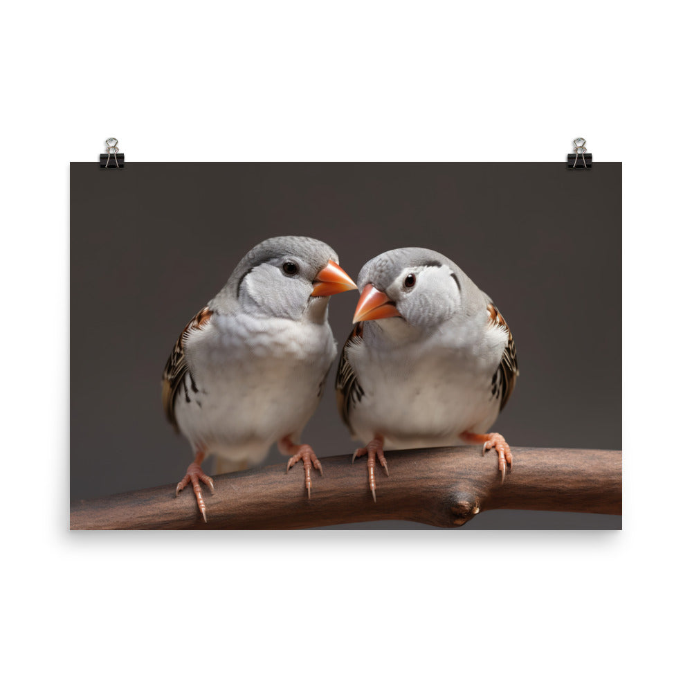 Close-up of Zebra Finches photo paper poster - Posterfy.AI