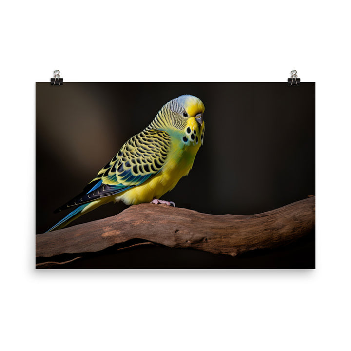 Cheerful Budgie on a Perch photo paper poster - Posterfy.AI