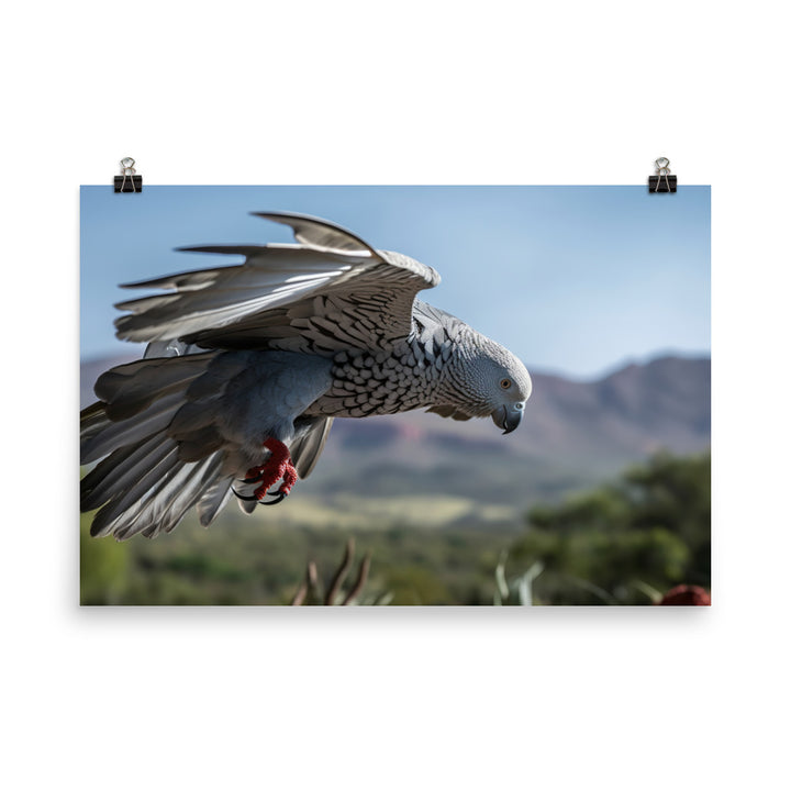 African Grey Parrot in Flight photo paper poster - Posterfy.AI