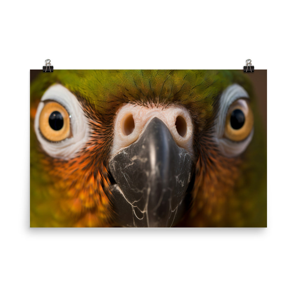 A close-up shot of a Conures face photo paper poster - Posterfy.AI