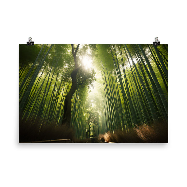 Arashiyama Bamboo Groves Serenity photo  paper poster - Posterfy.AI