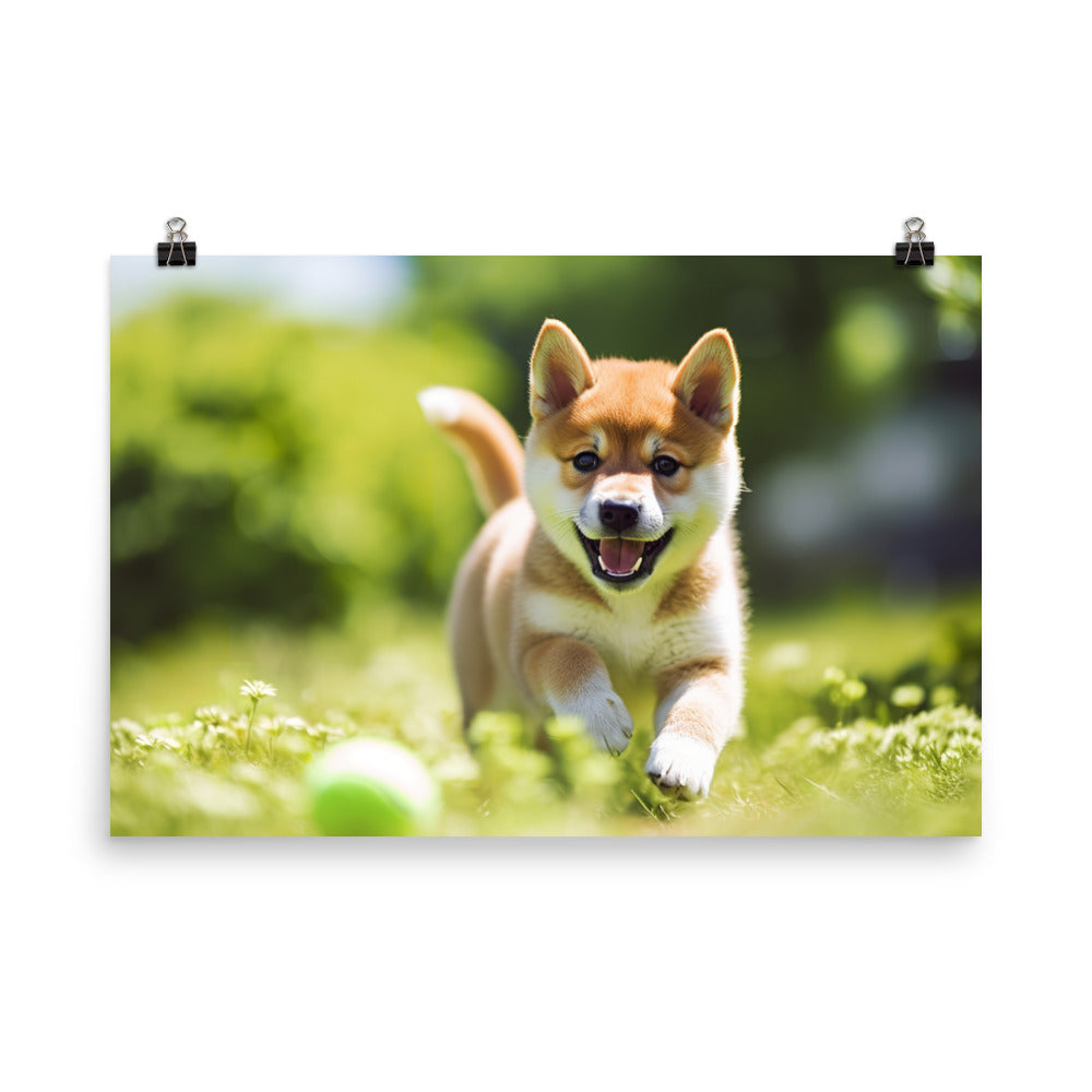 Shiba Inu Pup Playing photo paper poster - Posterfy.AI
