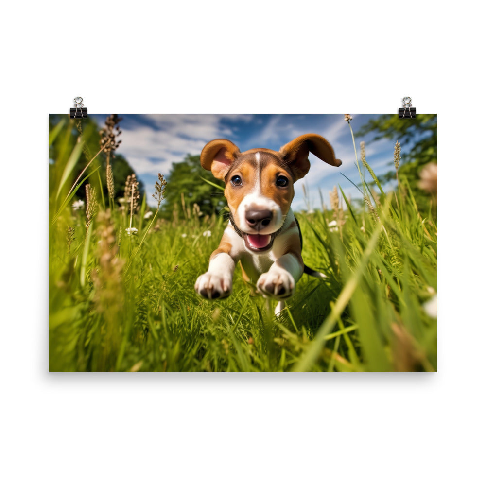 Playful Greyhound Pup photo paper poster - Posterfy.AI
