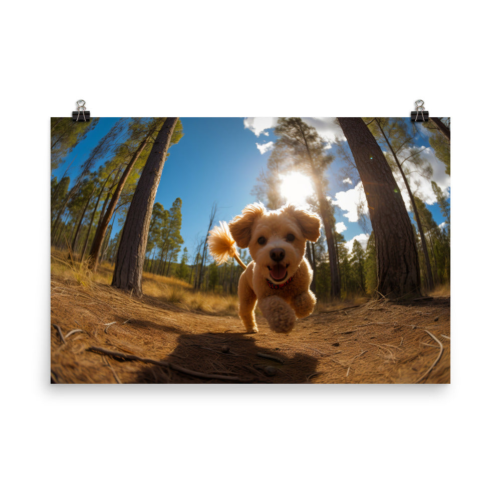 The Playful Poodle photo paper poster - Posterfy.AI