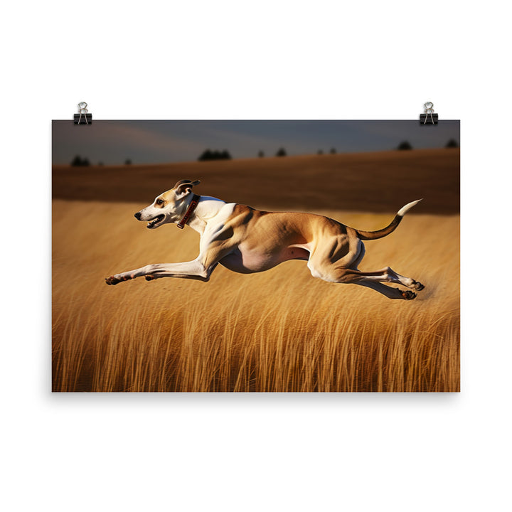 Whippet in Full Stride photo paper poster - Posterfy.AI