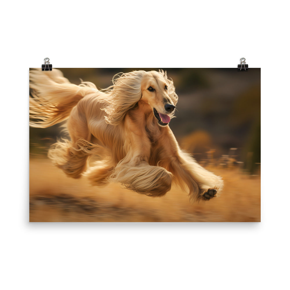 Graceful Afghan Hound in motion photo paper poster - Posterfy.AI