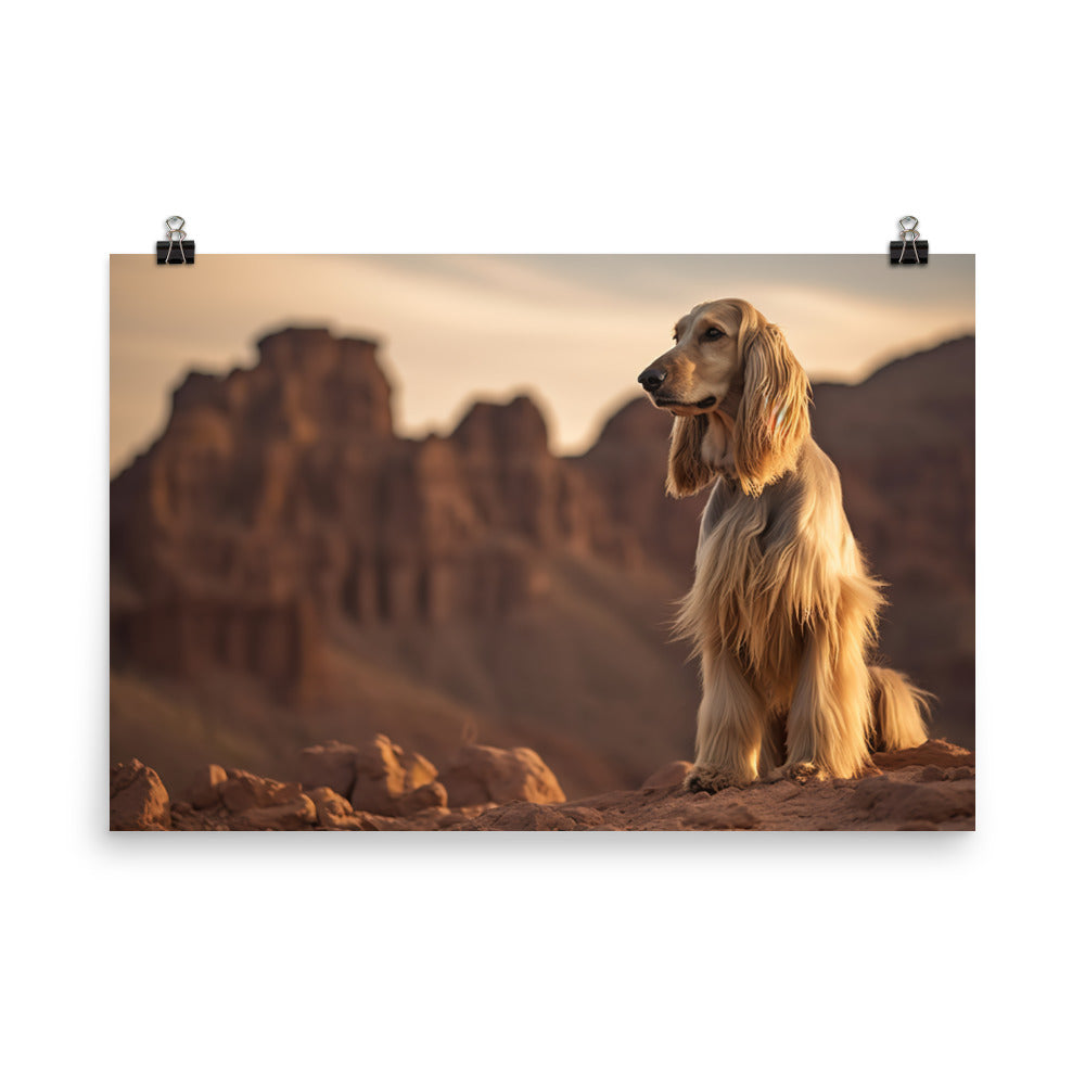 Afghan Hound in a natural environment photo paper poster - Posterfy.AI