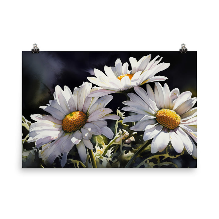 Daisies in Full Bloom photo paper poster - Posterfy.AI